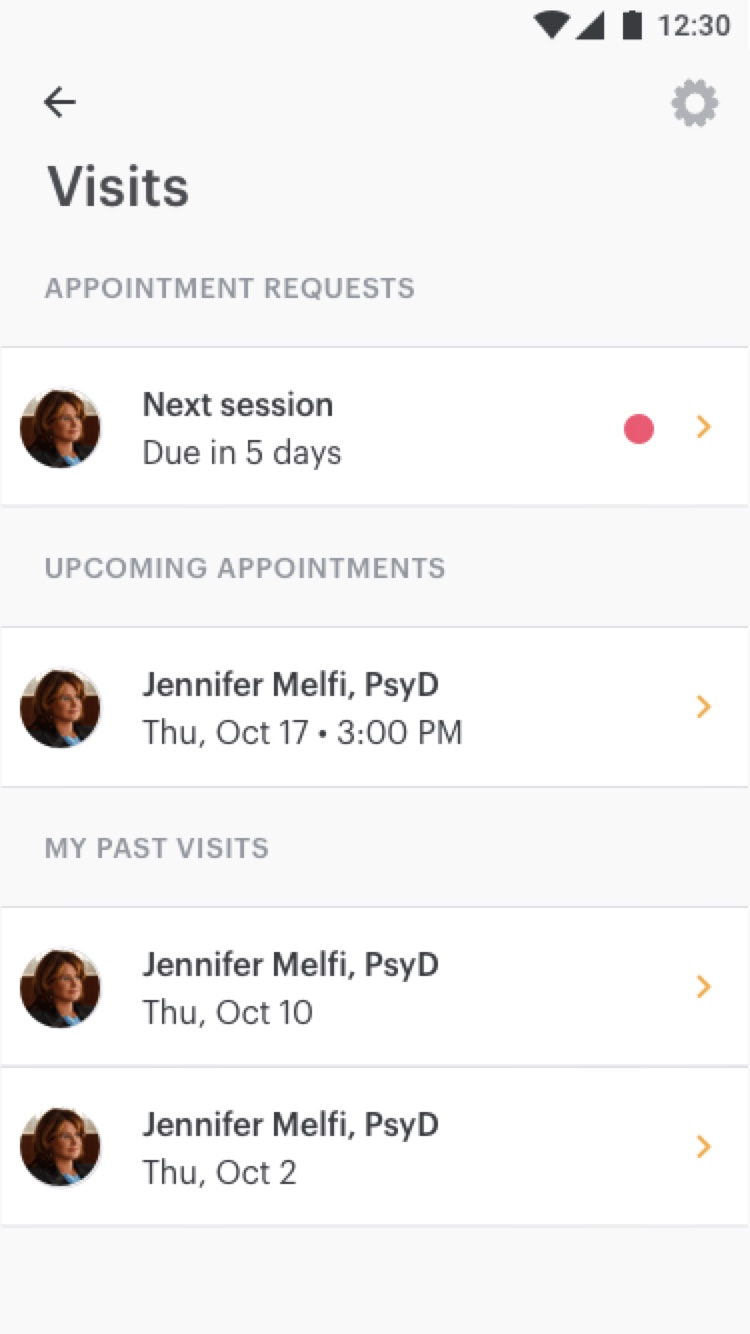 The visits list, with the provider's appointment request at the top